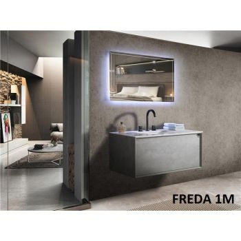 FREDA-1000